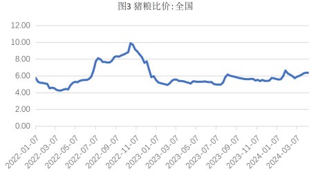 （2024年4月30日）今日玉米期货和美玉米最新价格查询