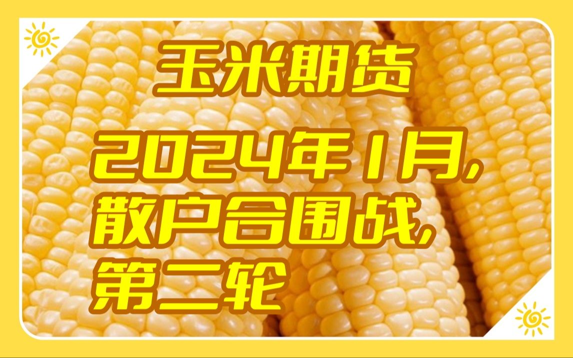 （2024年5月9日）今日玉米期货和美玉米最新价格查询