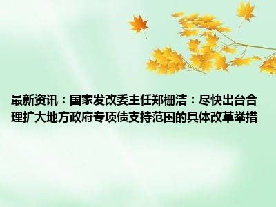 倪虹：五项政策支持货币化安置房 允许地方发行专项债