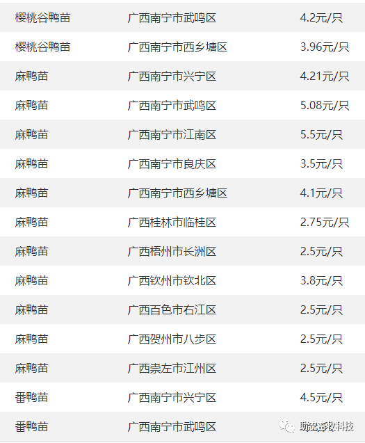 入市收购积极性低于往年 玉米价格弱势震荡