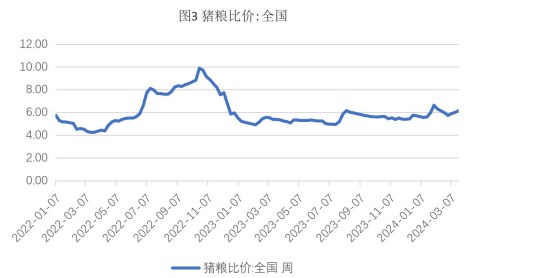 国内玉米收获基本完成 玉米价格将震荡企稳