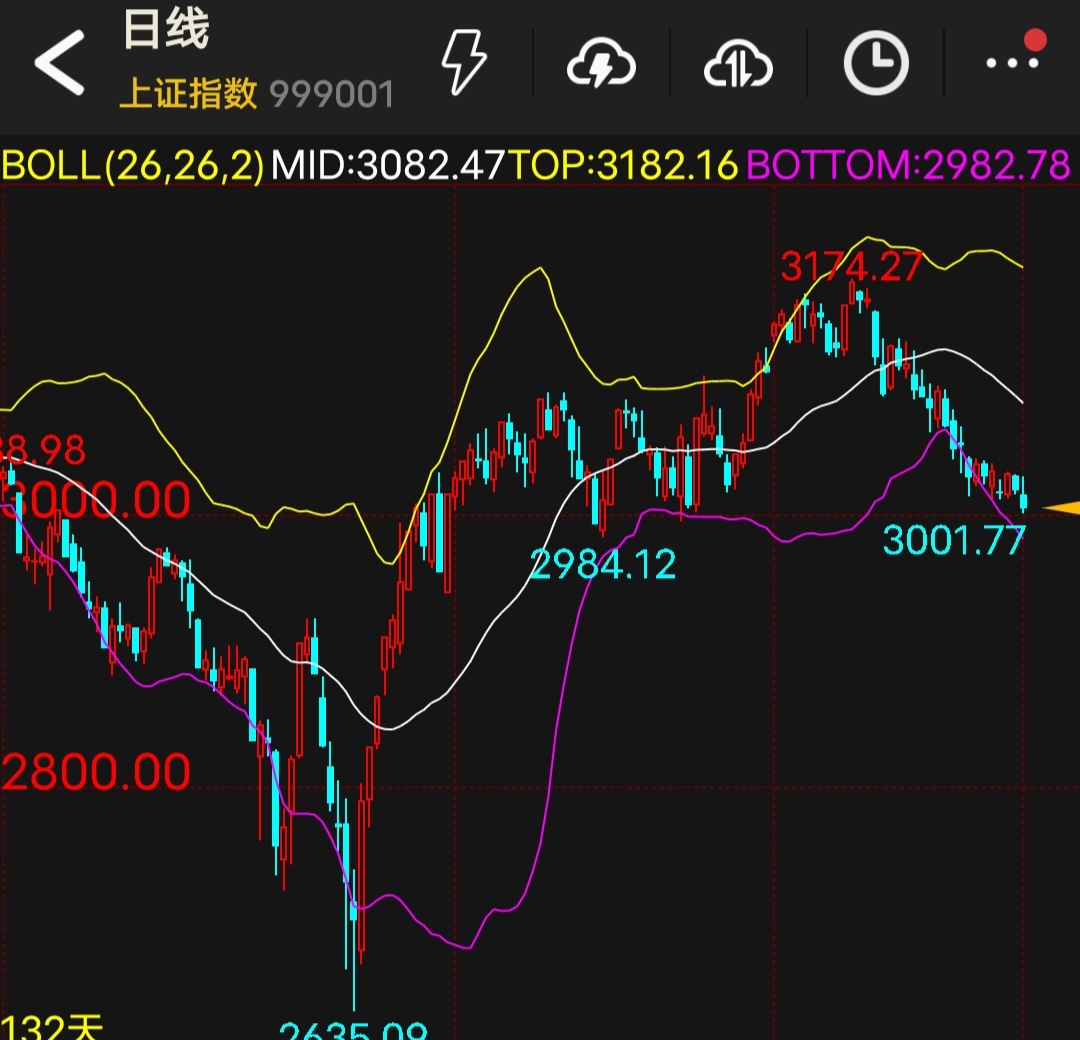 美股基本平开 金山云大涨超26%