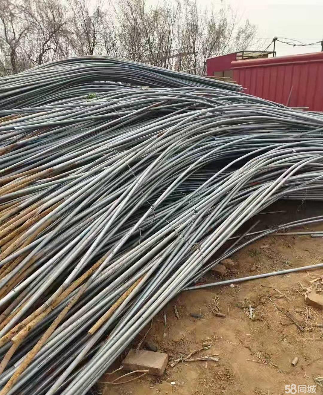 2025年3月17日今日泰安盘螺价格最新行情走势