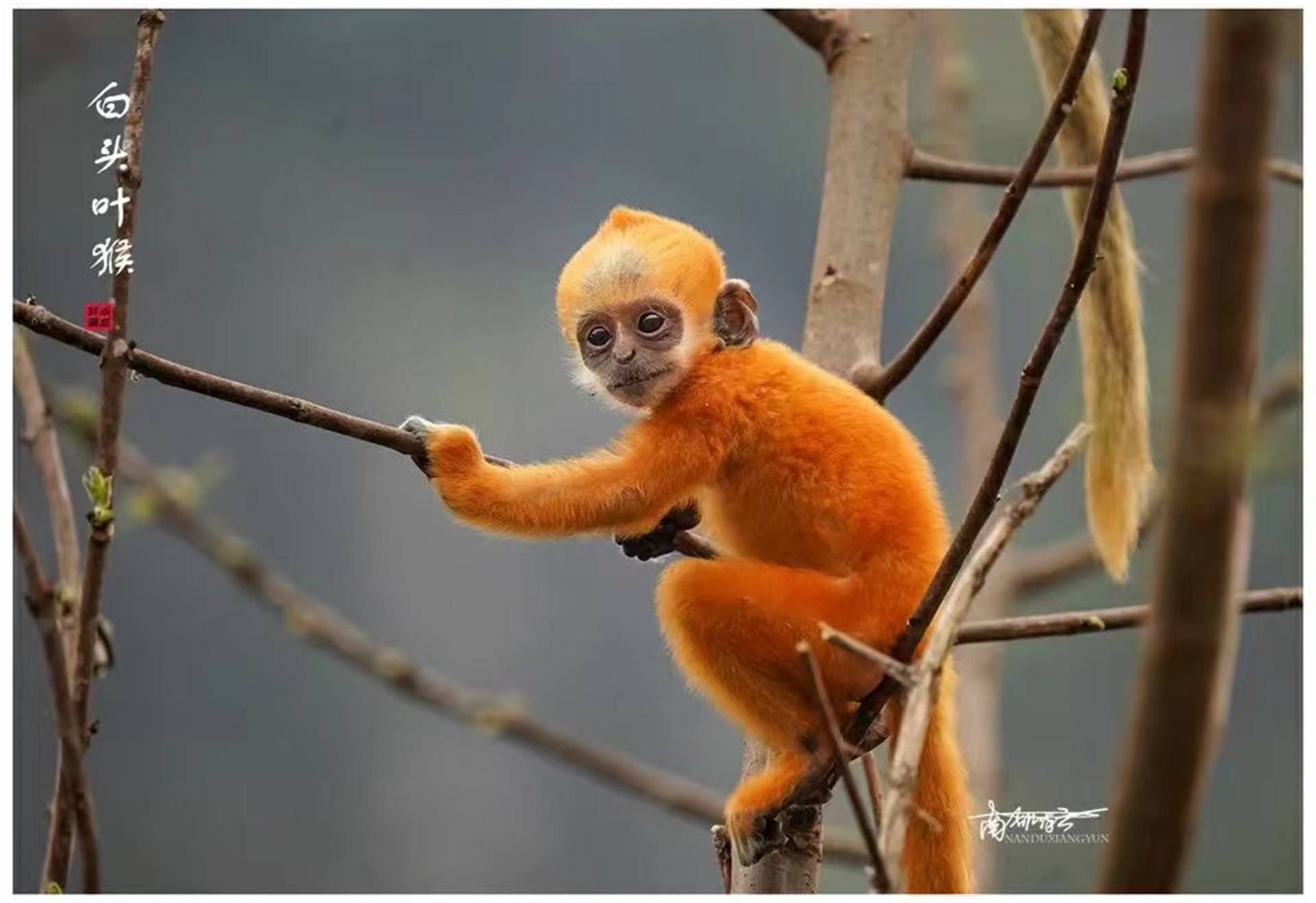 立方风控鸟·早报（3月18日）