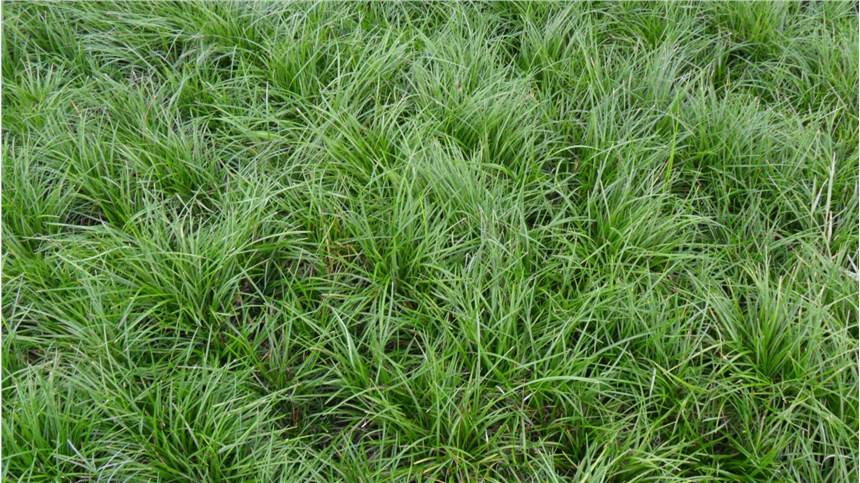 中国财政部将在伦敦发行人民币绿色主权债券