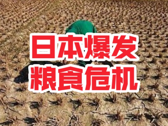 非洲面临日益严重的粮食危机