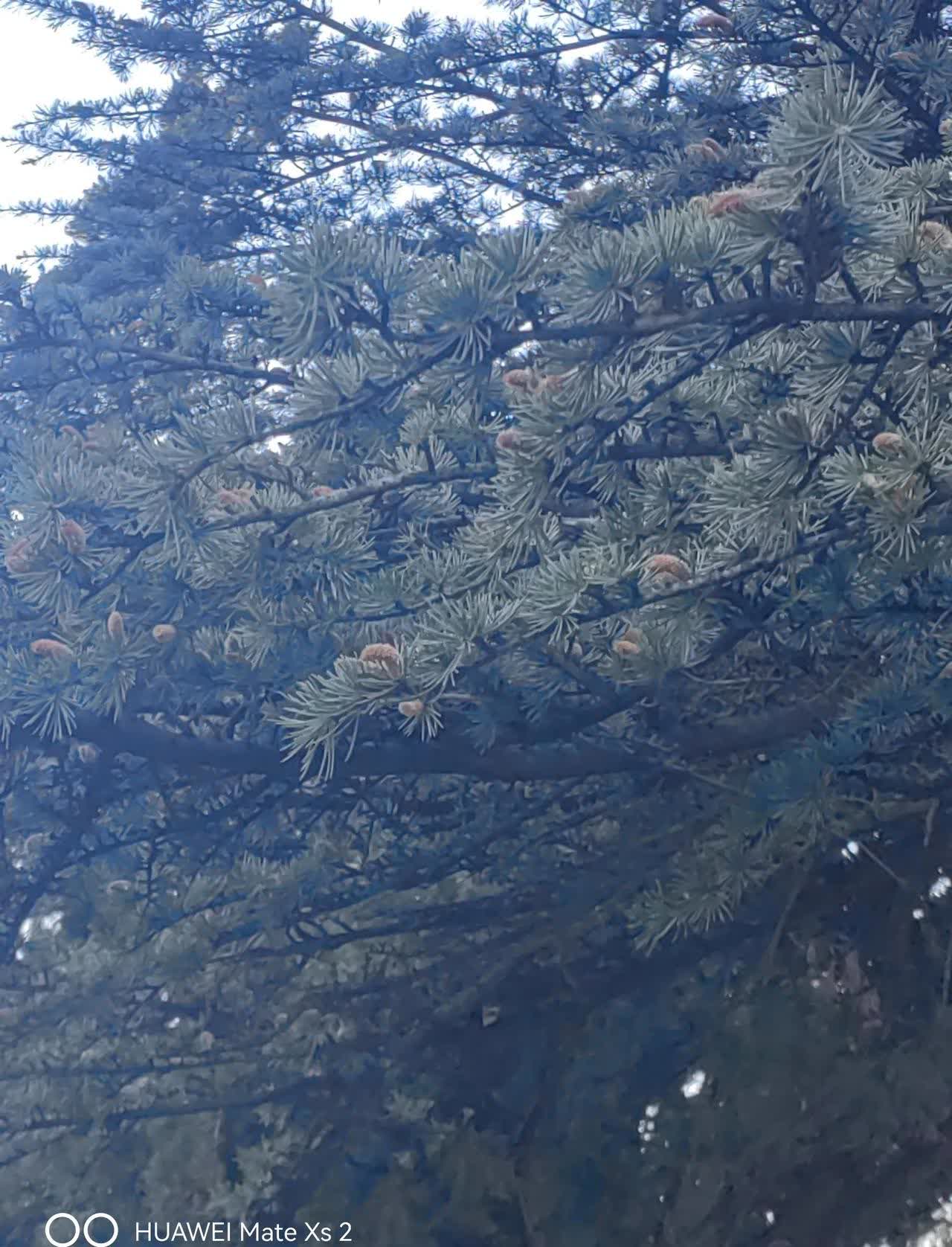 2025年3月24日今日广州盘螺价格最新行情走势