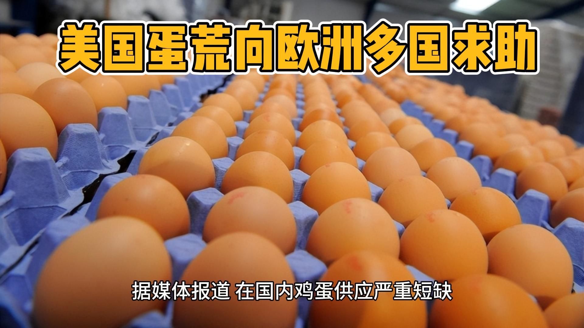 较3月价格回落50% 美国鸡蛋短缺危机似乎要结束了