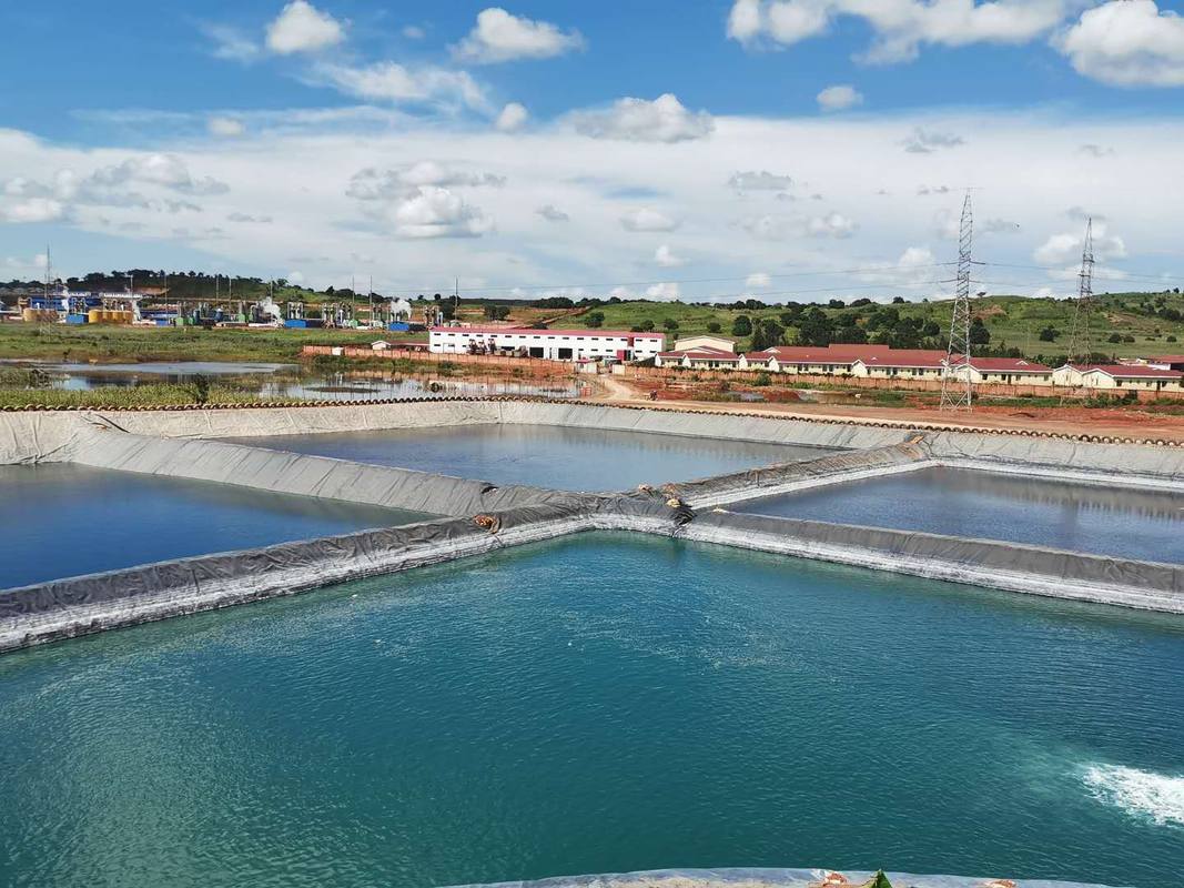 刚果(金)中资矿业企业协会举办换届大会暨安全形势分析会