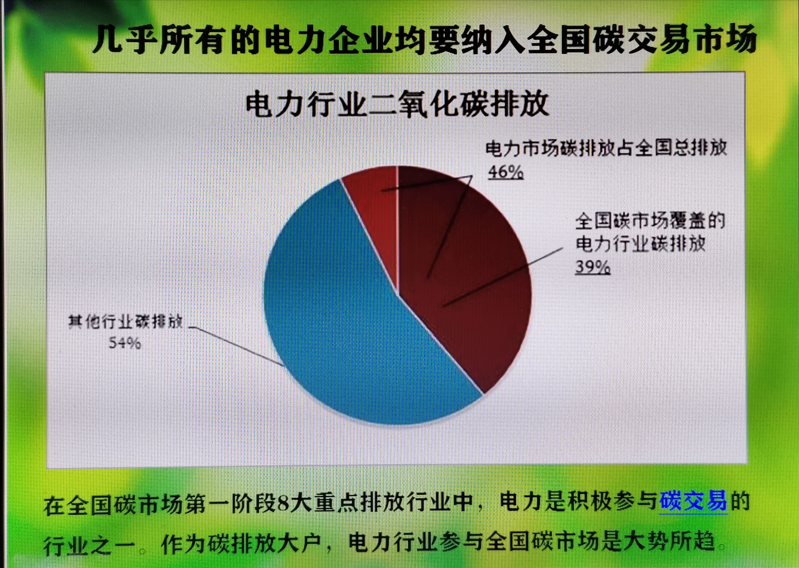 国网英大2024年度分配预案：拟10派0.51元
