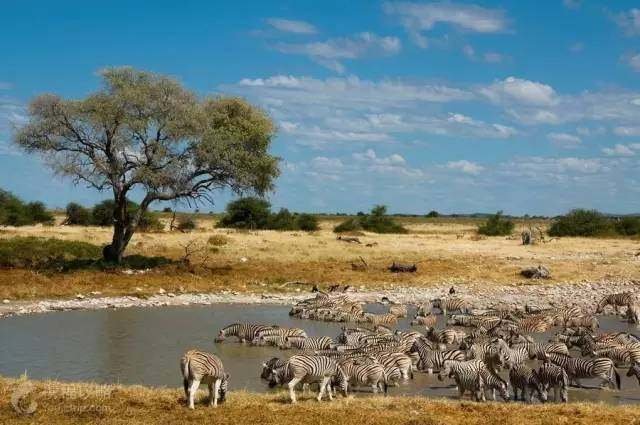 博茨瓦纳解除对南新鲜农产品进口禁令