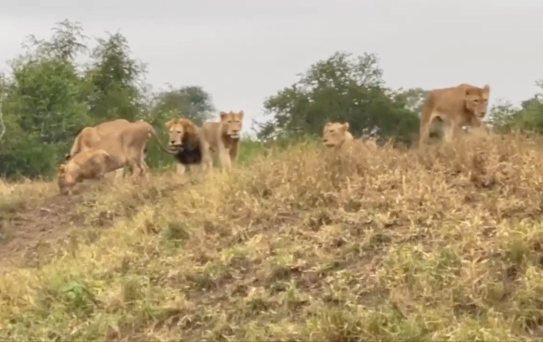 马拉佩向全民保证政局稳定