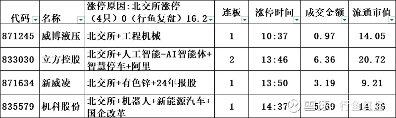 AI应用概念强势拉升，鸿博股份4连板，创意信息等涨停