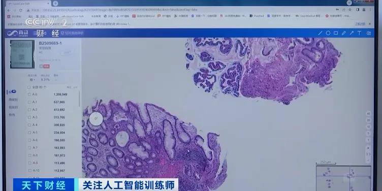 突发！人工智能，突然爆雷！