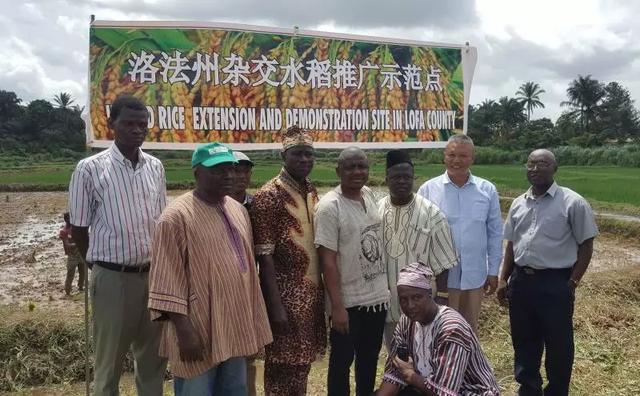 日本援助利比里亚水稻生产项目接近尾声