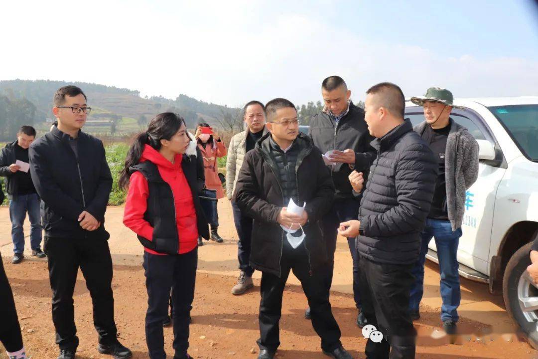 新五丰：拟与科普利信成立合资公司开展联合育种项目合作