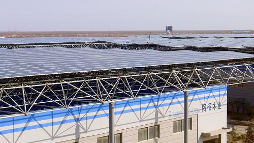 加兹瓦尼总统出席60兆瓦双燃料发电站项目奠基仪式
