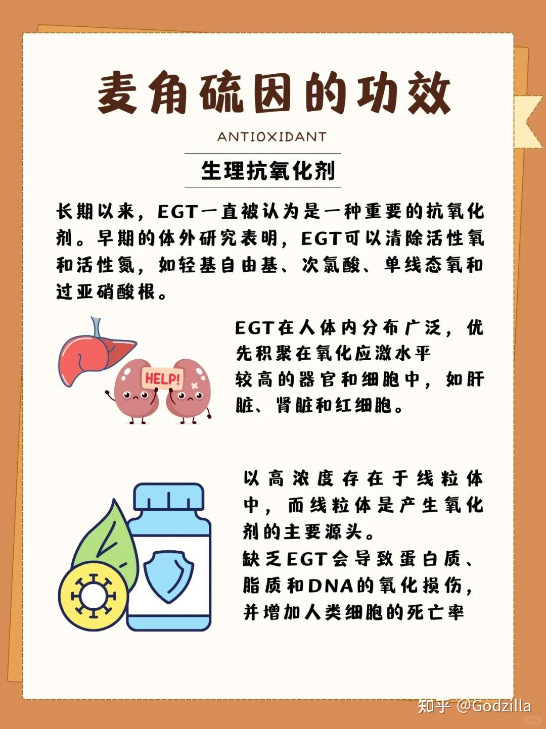 麦角硫因受关注 多家上市公司回复相关问题