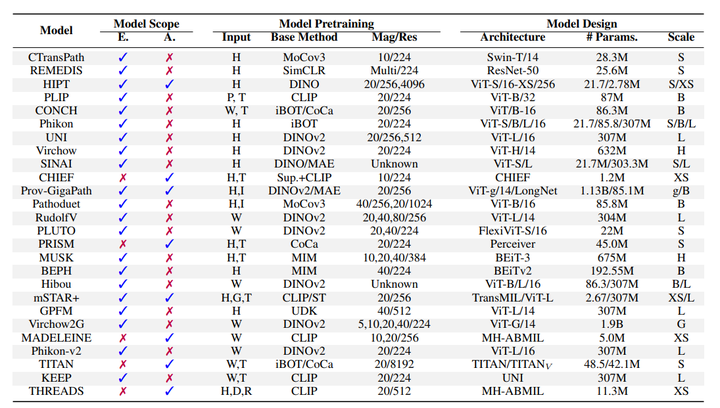 AI重塑表达,语言还有灵魂吗?