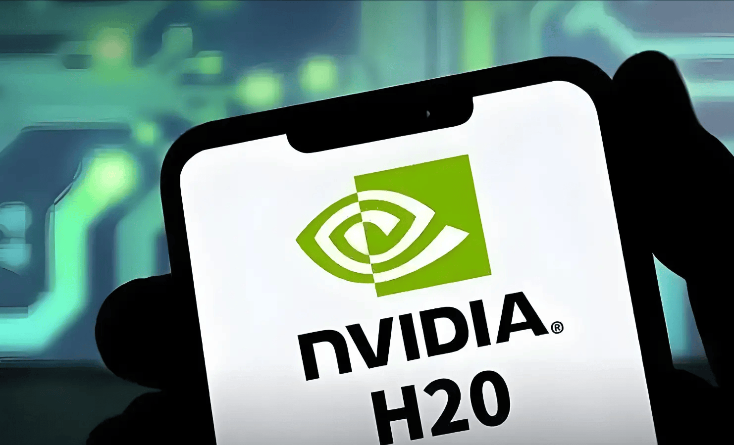 “中国版英伟达”,网上中签率出炉!