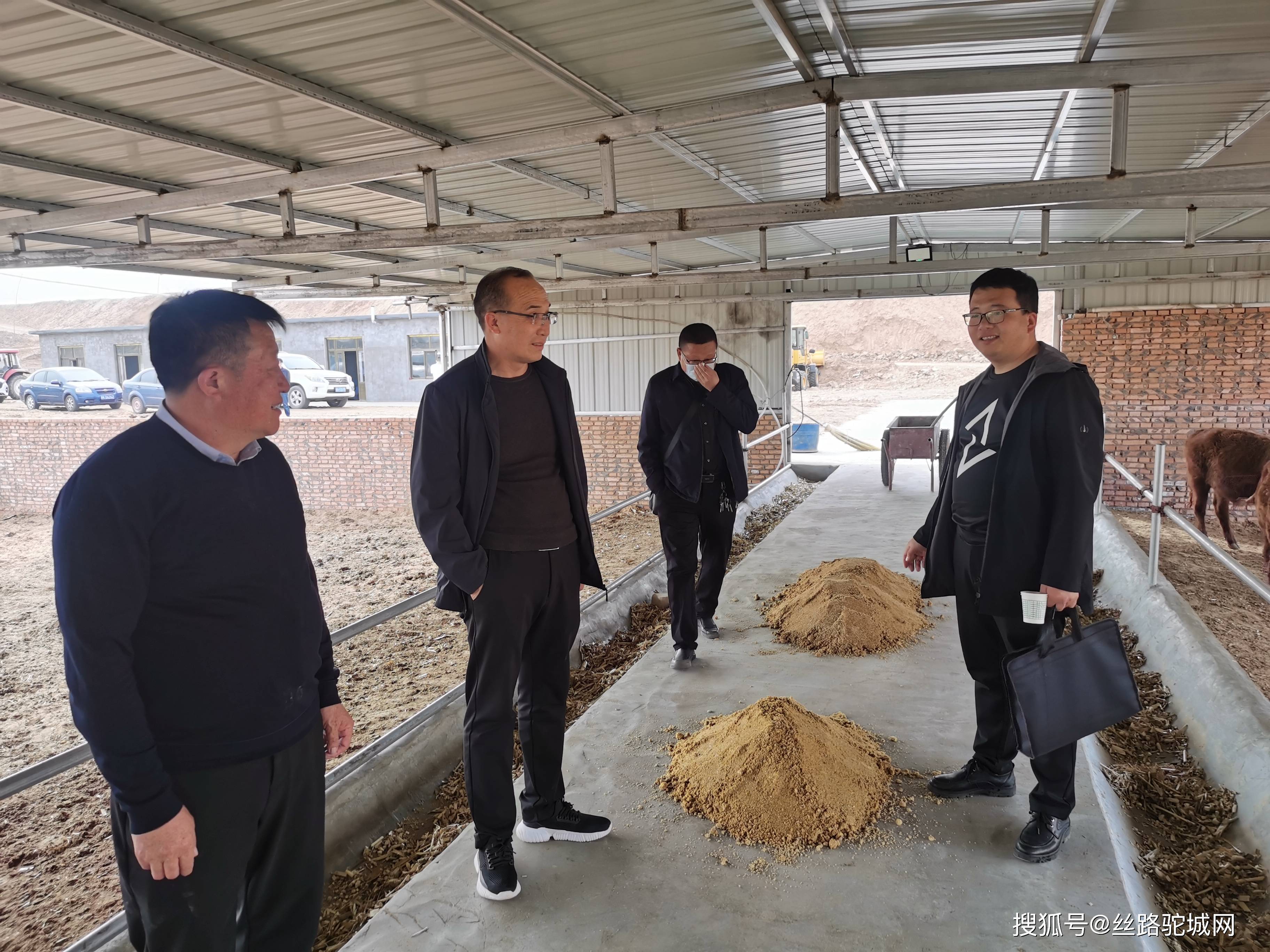 林平发展冲刺IPO：频遭环保投诉、营收连降两年，税收依赖超六成