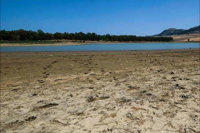 元力股份开启美洲市场业务布局 拟1.8亿元购墨西哥客户部分股权