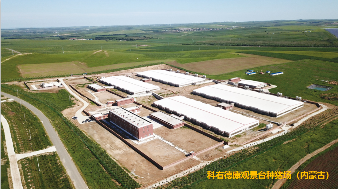 德康农牧(02419.HK)连续14日回购,累计回购98.23万股