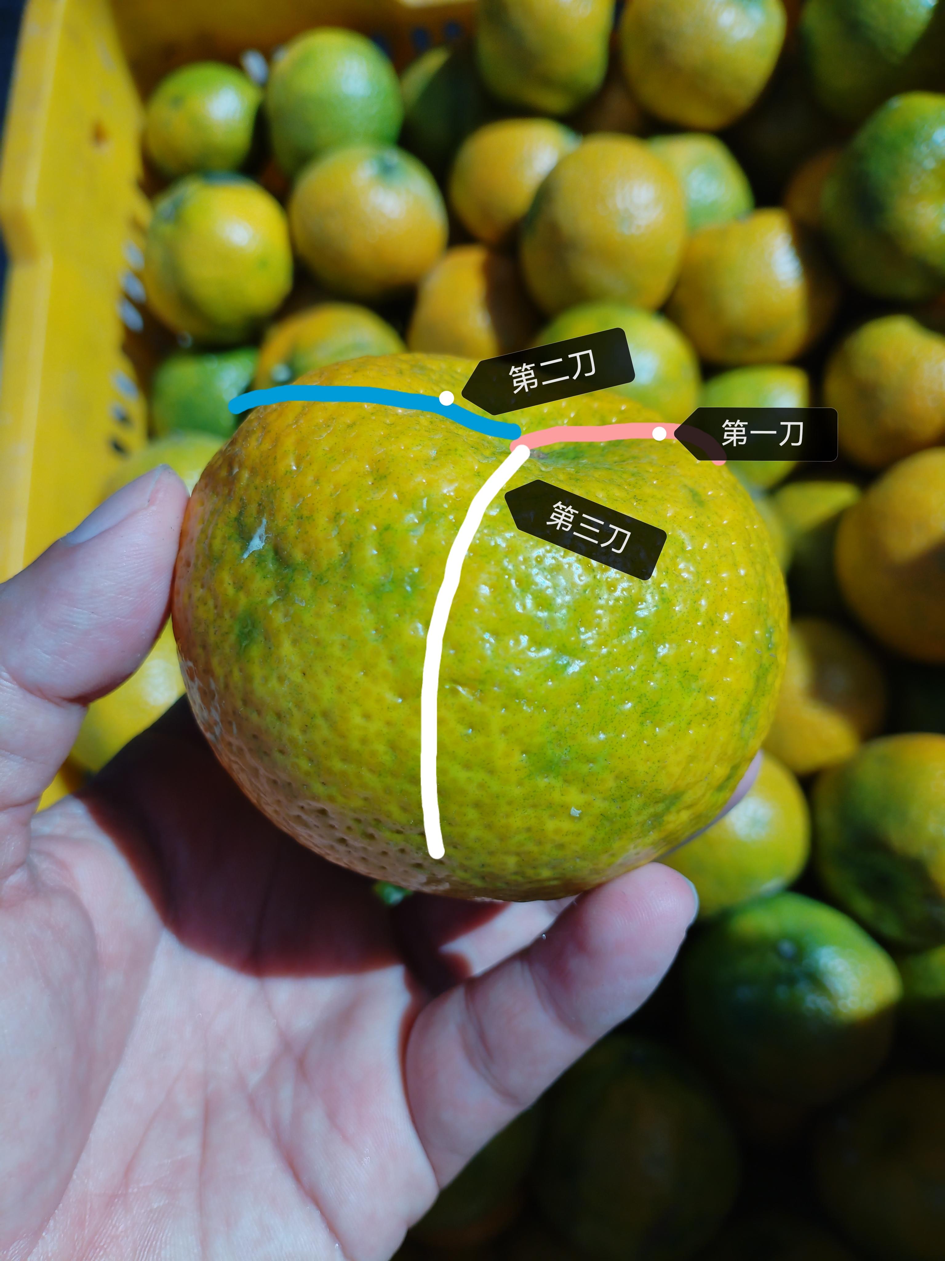 江门市新会区通报“陈皮产地造假等问题”：将依法从严从快对6家涉事企业作出处理