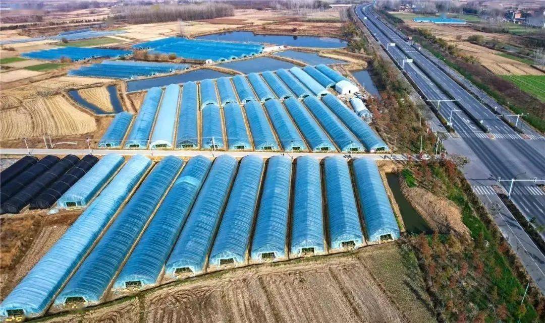 三部门发文推广农业设施和畜禽活体抵押融资