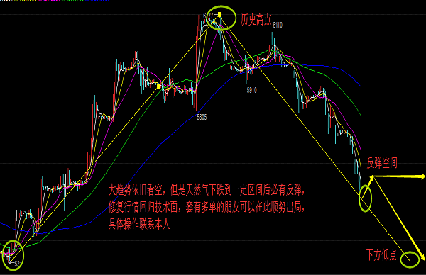 黑天鹅突袭！影响有多大？