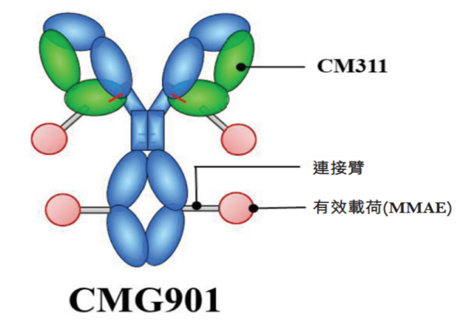 纳入突破性治疗品种 华东医药创新药研发取得新进展