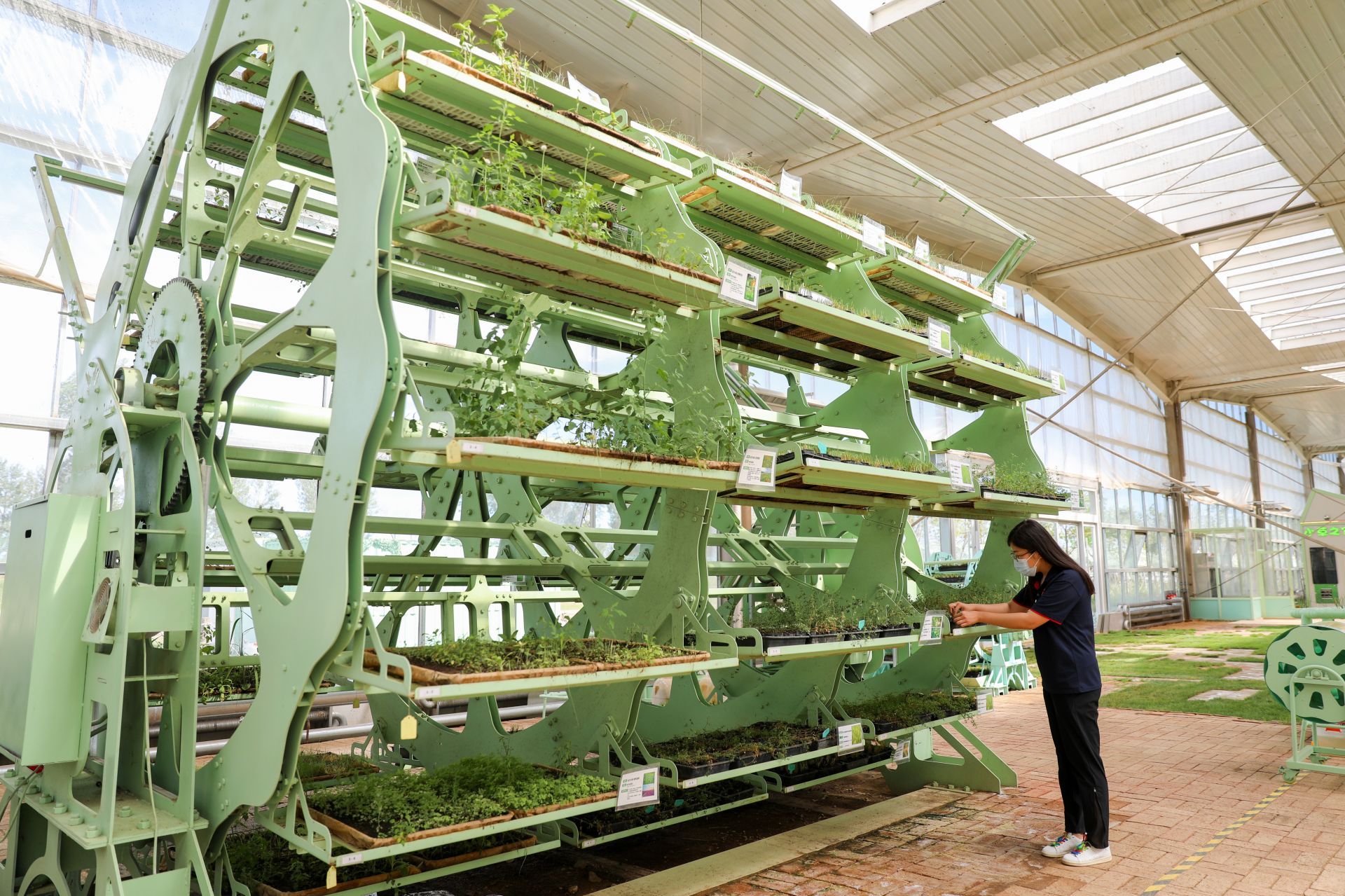 跳出“优惠政策依赖症” 地方建生态、稳预期塑造吸引外资新优势