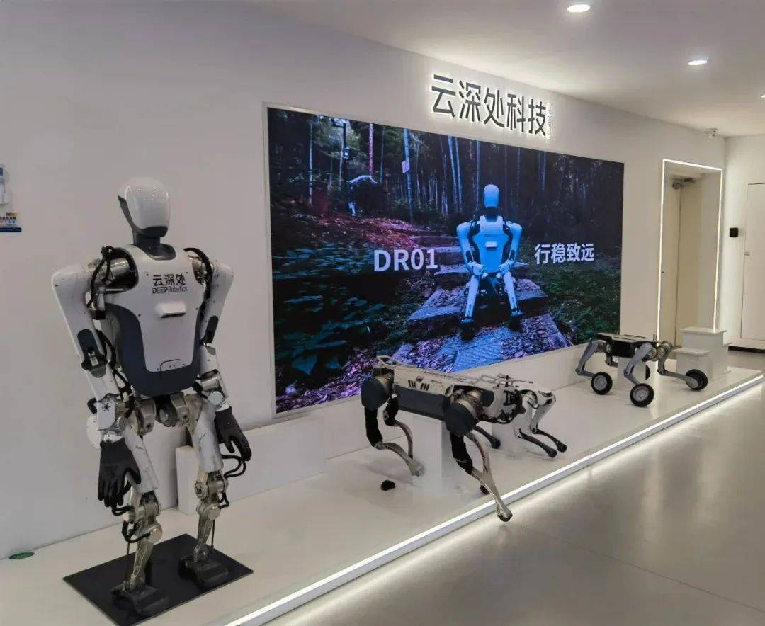 年轻且能打！浙江首批“科技新小龙”亮相