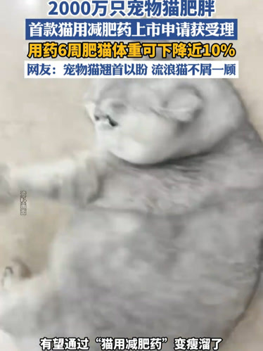 派林生物：人凝血因子IX药品注册上市许可获受理