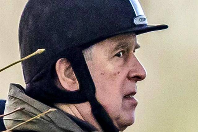 英国国王弟弟安德鲁被捕