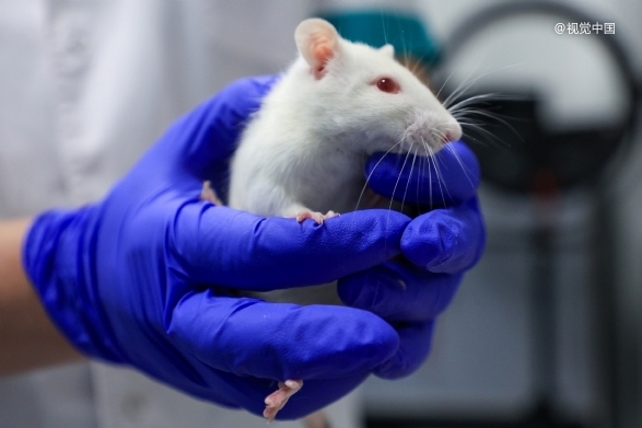 688098，拟并购！标的公司拥有3款在研新药