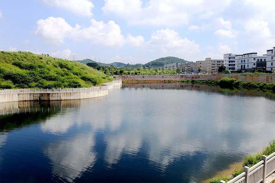 春晚刷屏后，泳池清洁赛道杀出浪涌未来：智能化奇点已至