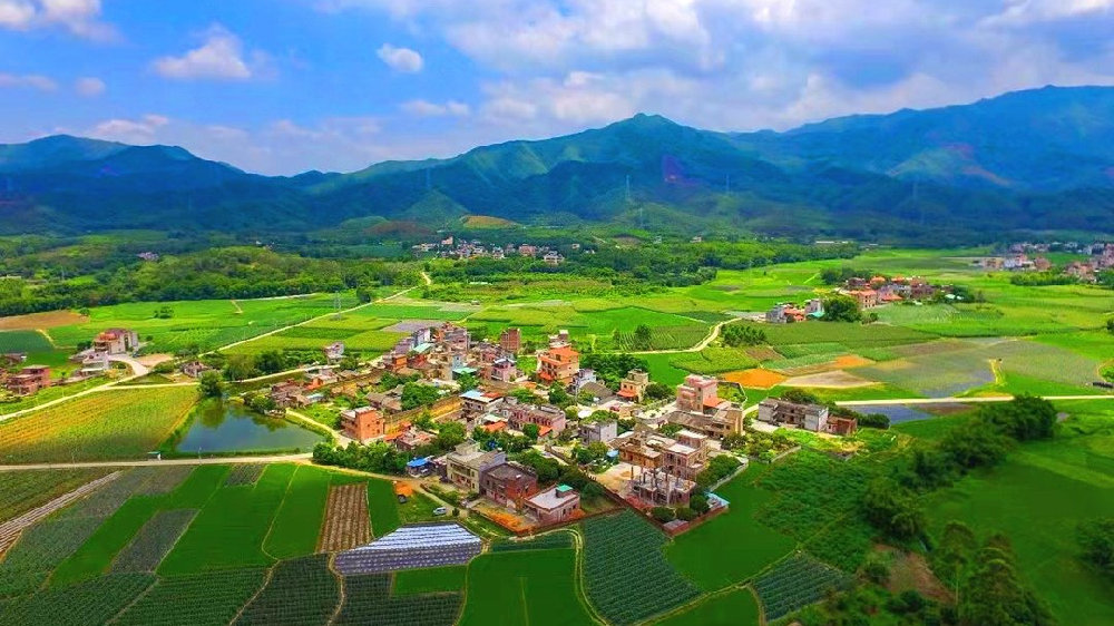 从单向潮汐到双向奔赴,反向过年激活消费新动能