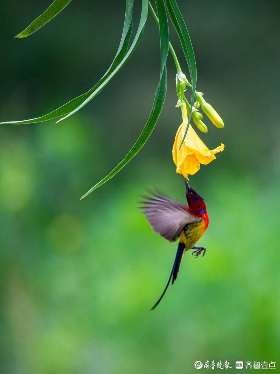 立方风控鸟·晚报（3月4日）