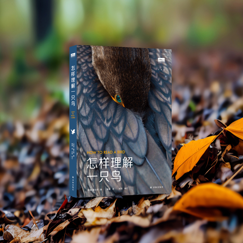 立方风控鸟·晚报（3月10日）