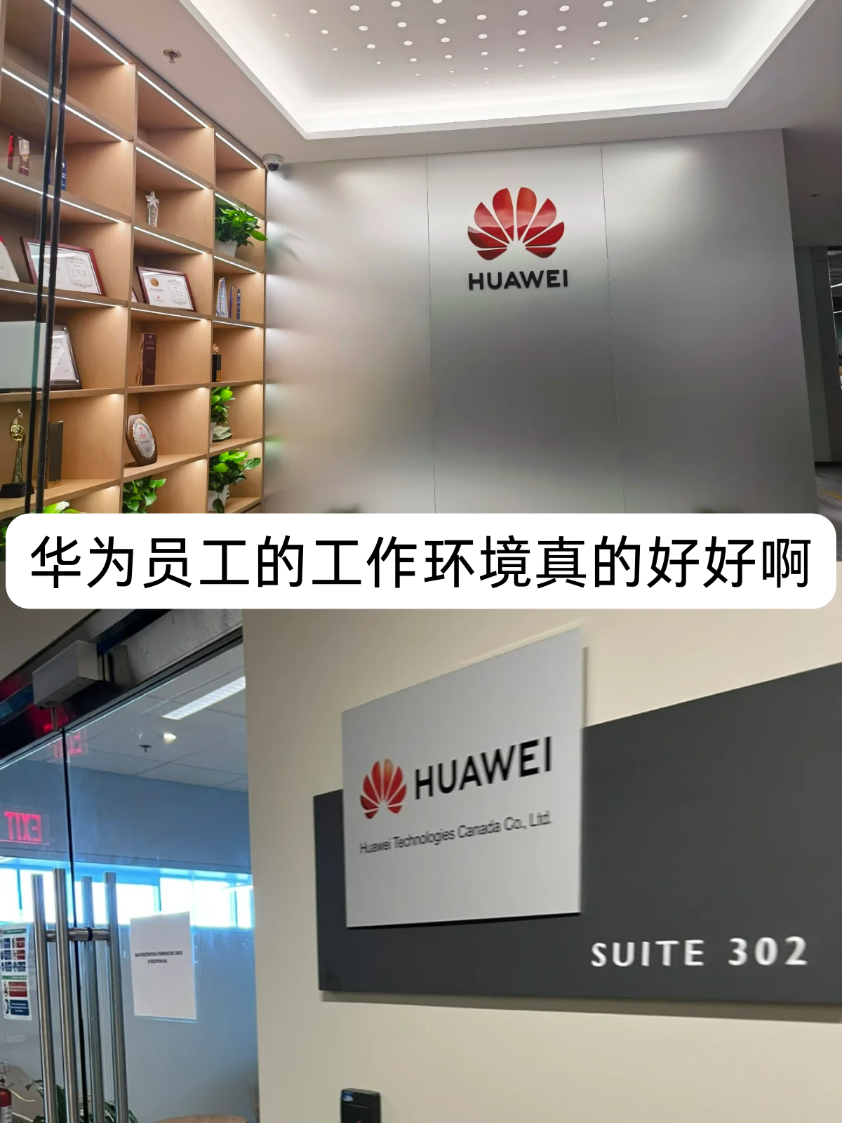 适应“养虾”热潮 移卡拟增加5000名数字员工