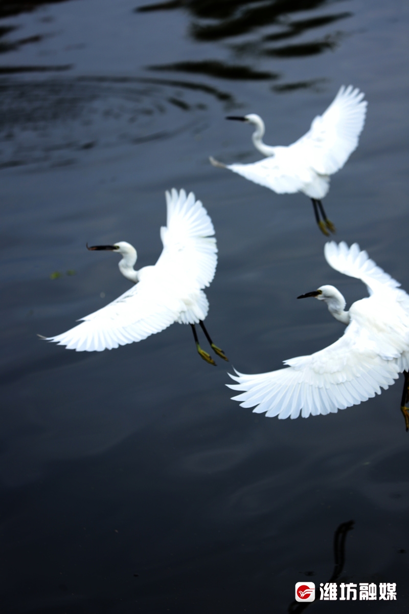 立方风控鸟·晚报（3月13日）