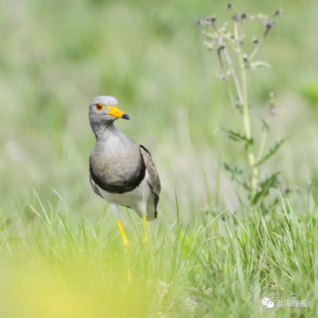 立方风控鸟·晚报（3月13日）