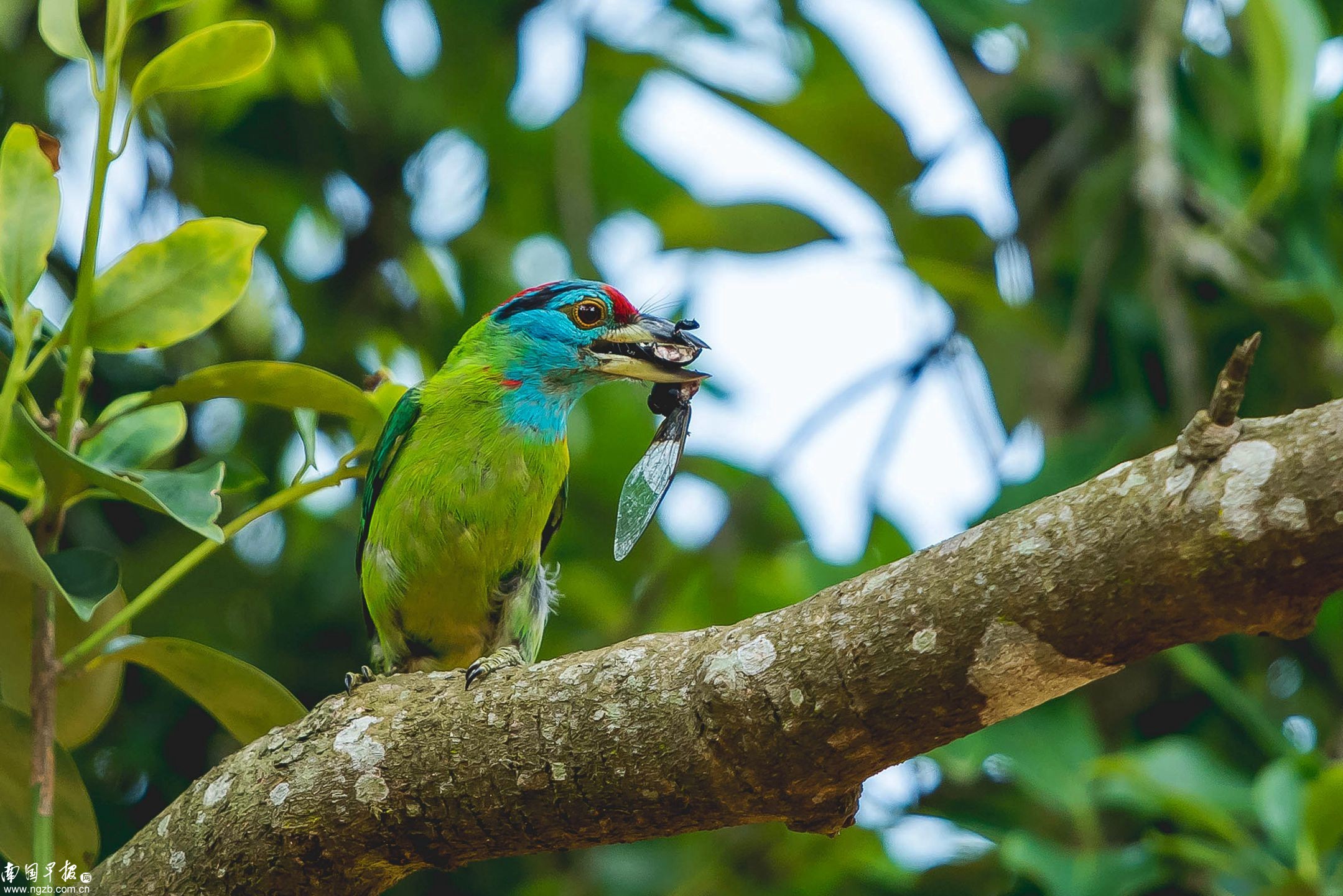 立方风控鸟·早报（3月14日）