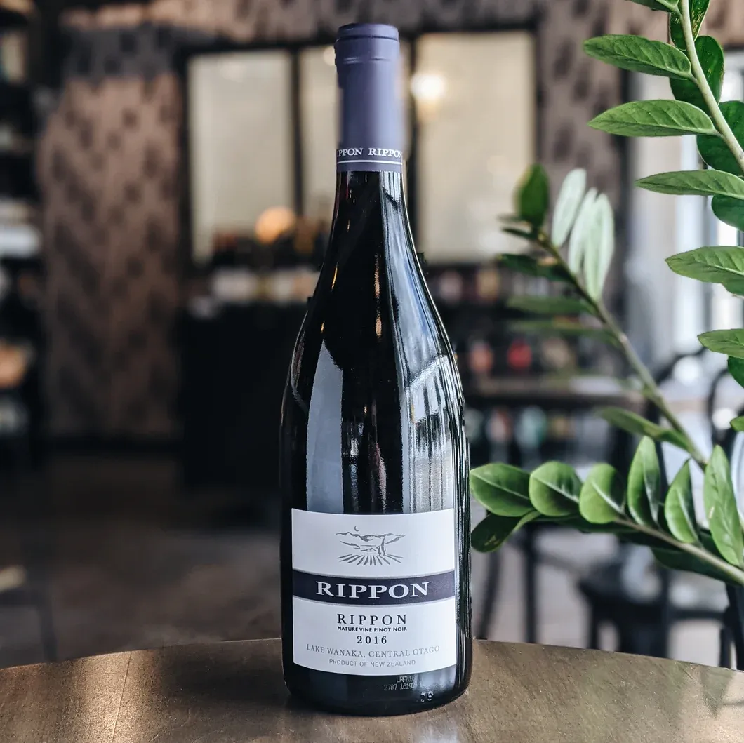 驻奥克兰总领馆经商处参访新西兰百碧祺酒业公司