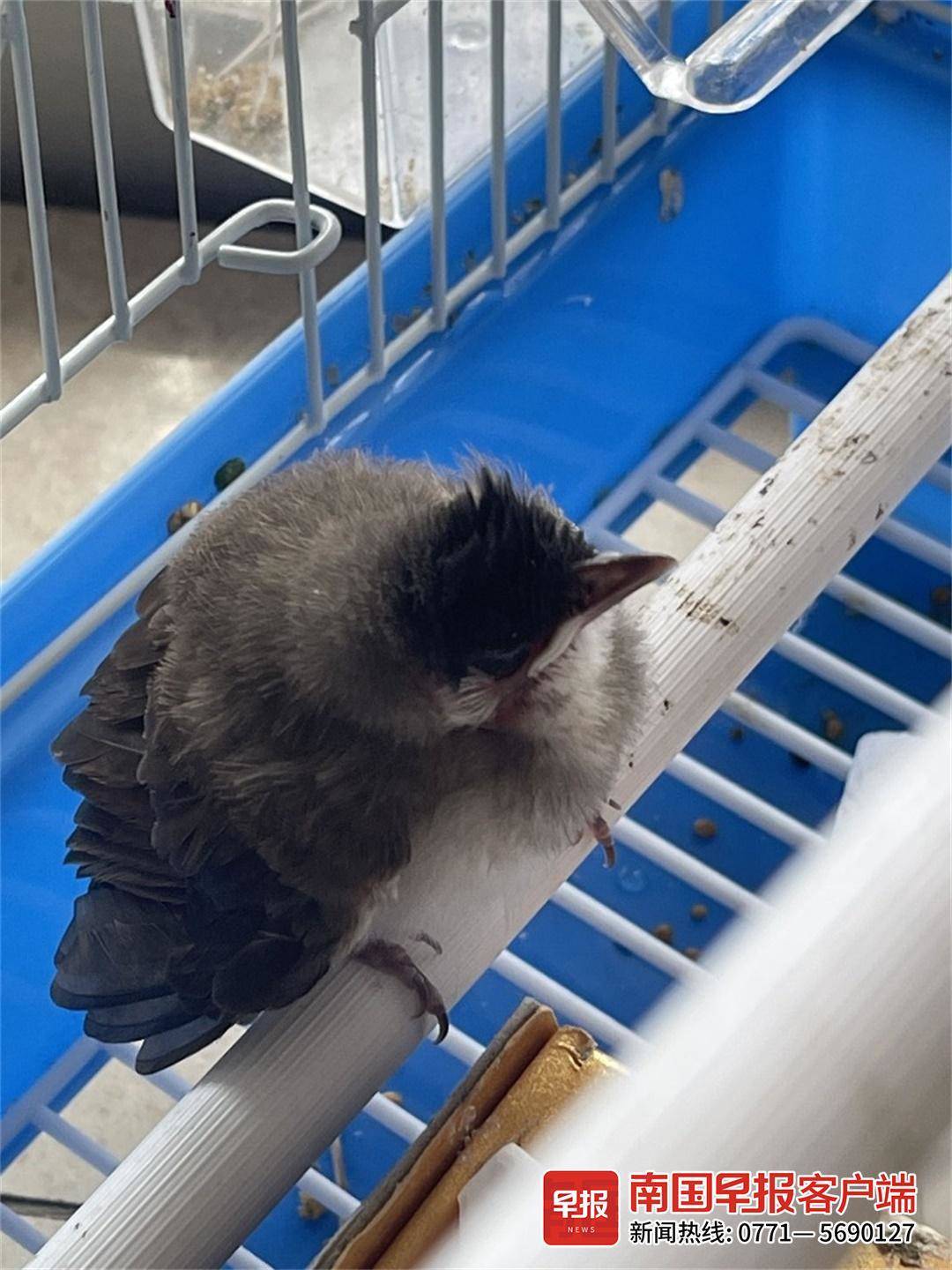 立方风控鸟·早报（3月24日）