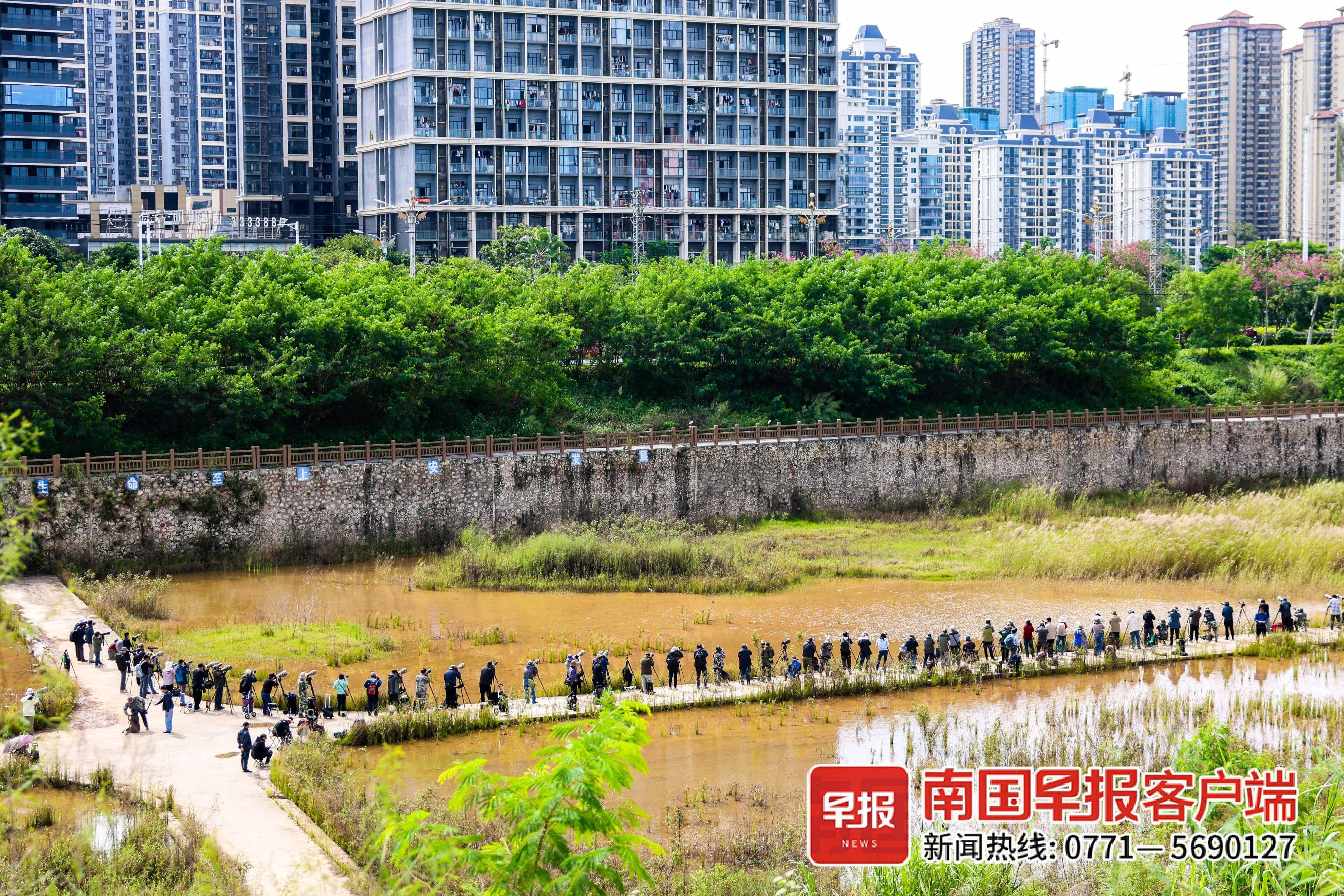 立方风控鸟·早报（3月24日）