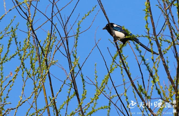 立方风控鸟·晚报(3月24日)