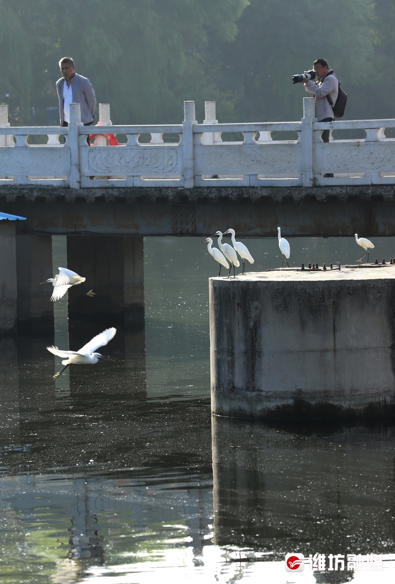 立方风控鸟·晚报（3月24日）
