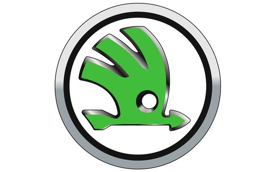 聚焦产业互惠 中国汽车加速拥抱全球南方